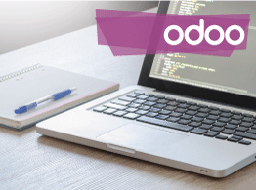 [ASE-ODOO] Horas de Asesoría Funcional